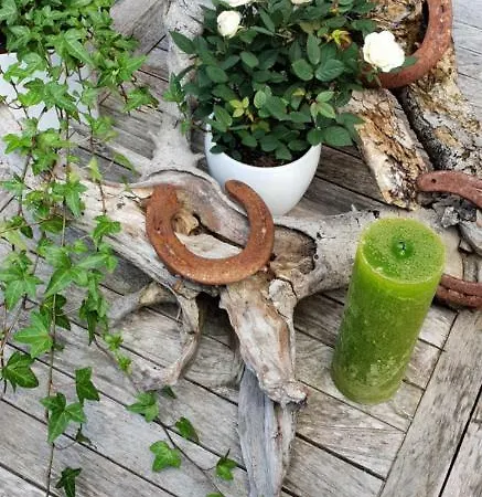 Ferienhof Lenzlisberg Seelbach (Baden-Wurttemberg)