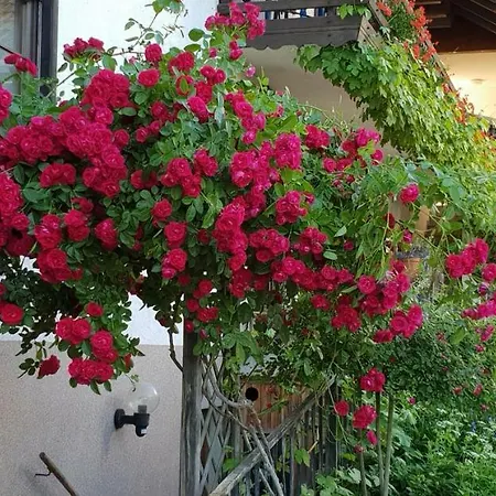 Ferienhof Lenzlisberg Casa rural *