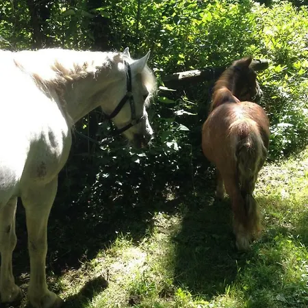 Ferienhof Lenzlisberg * Seelbach (Baden-Wurttemberg)