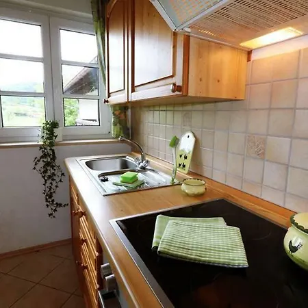 Ferienhof Lenzlisberg Casa rural Seelbach (Baden-Wurttemberg)