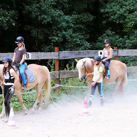 Ferienhof Lenzlisberg Casa rural Seelbach (Baden-Wurttemberg)