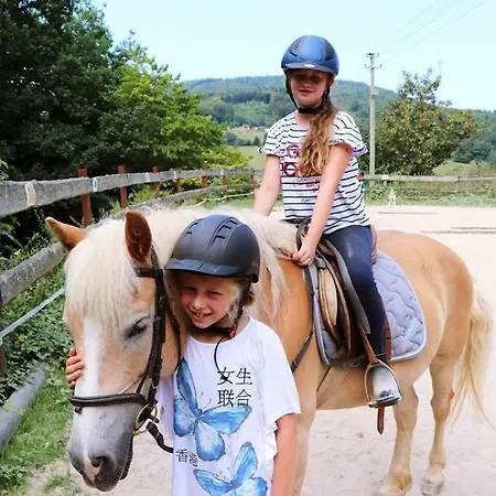 Ferienhof Lenzlisberg Seelbach (Baden-Wurttemberg)