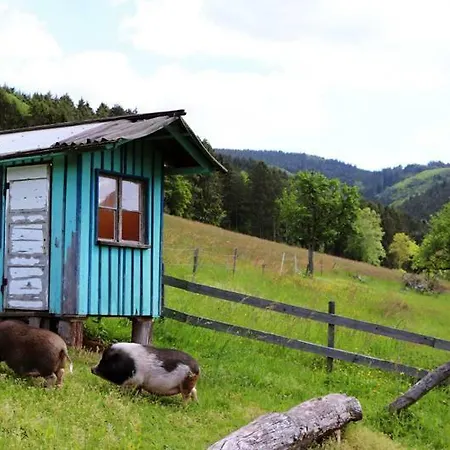 Ferienhof Lenzlisberg Seelbach (Baden-Wurttemberg)