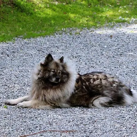 Ferienhof Lenzlisberg