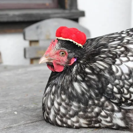 Ferienhof Lenzlisberg Casa rural